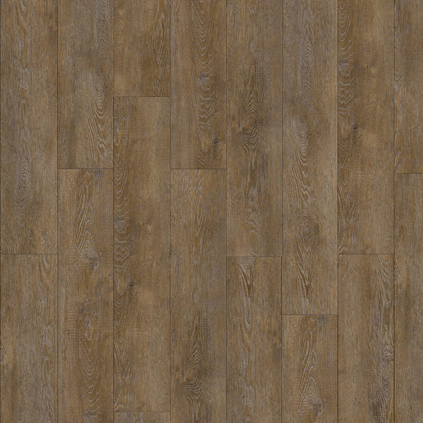 hi-dutch アート　HorizonSky Watch video about 1672 Dutch painting shrouded in mystery