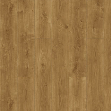 Specials in Elevations - Country Home ELEV-302