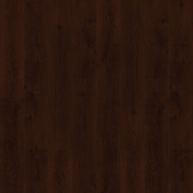 Specials in Elevations - Bordeaux ELEV-304