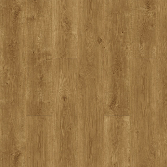Elevations in Country Home ELEV-302