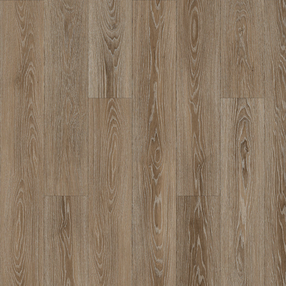 Elevations in Rosewood ELEV20-413