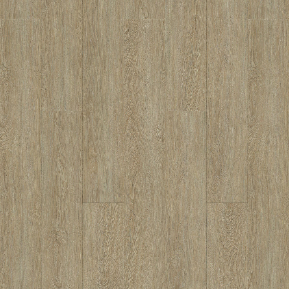 Alpine in Beach House FAP-6010KR