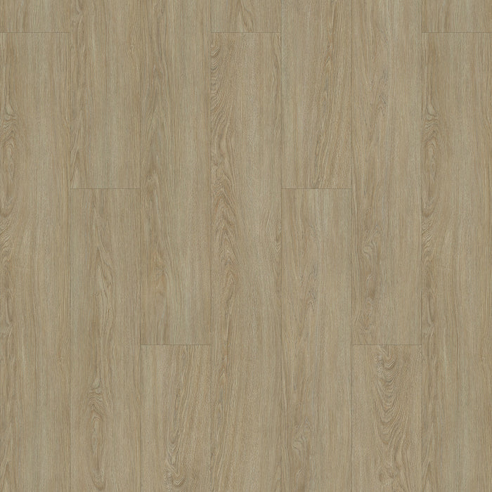 Alpine in Beach House FAP-6010KR