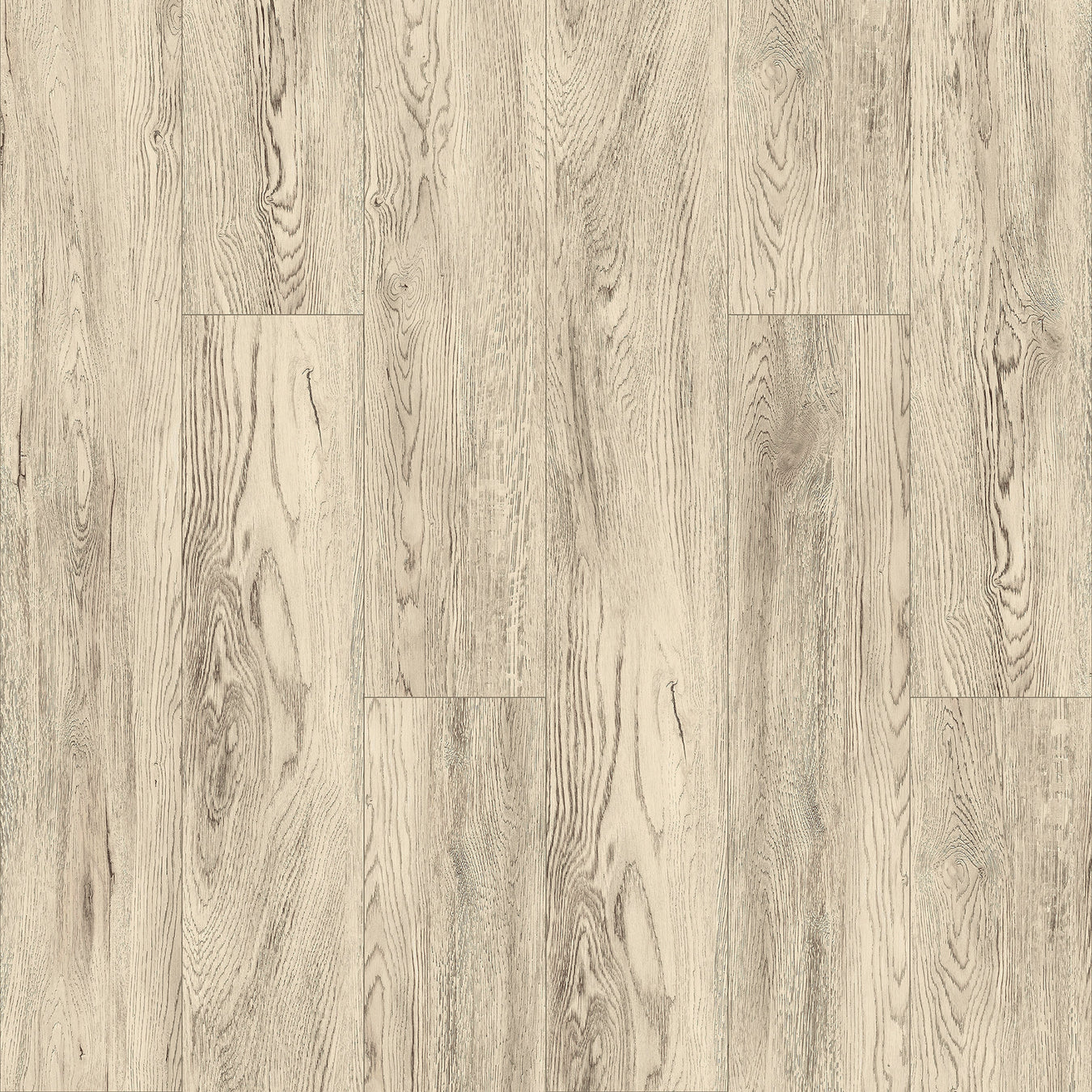 FLOORNATION GLORY