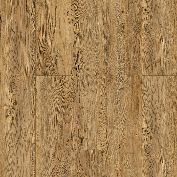 Glory in Apple Wood FN-11