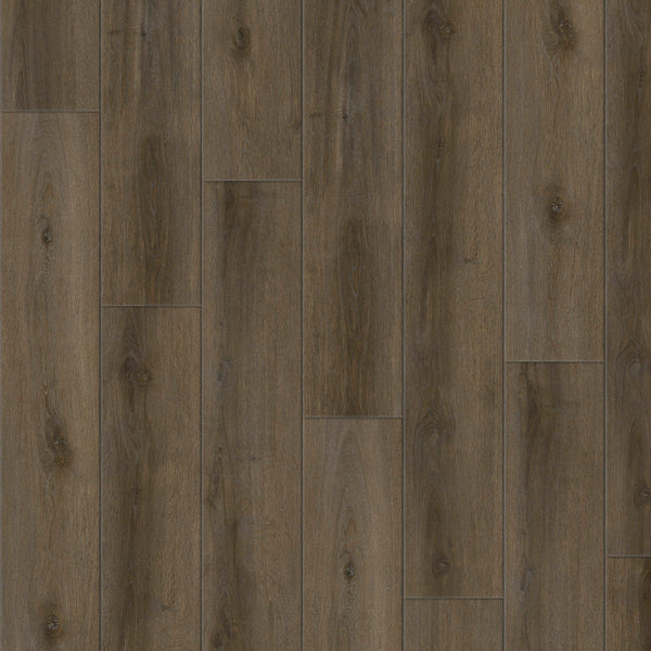 GEN_800N_SPRINGFIELD_grande.