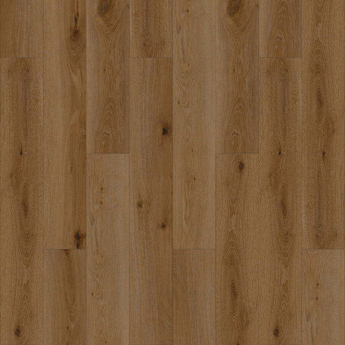 Specials in Elevations LOFT - Hampton LOFT20-640A