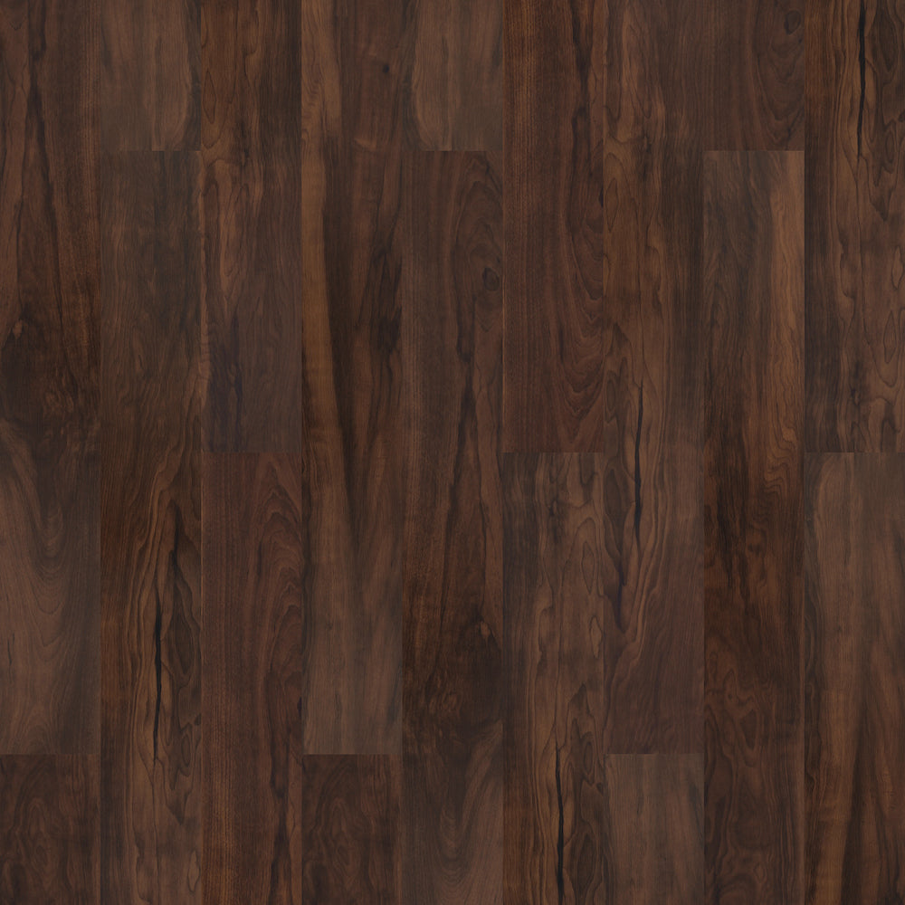 Specials in Magnetx Magnetx - Lakewood MM60640