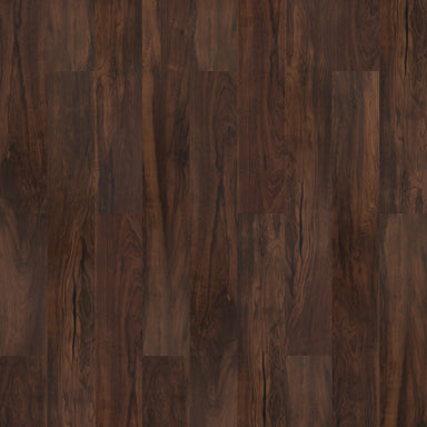 Specials in Magnetx Magnetx - Lakewood MM60640