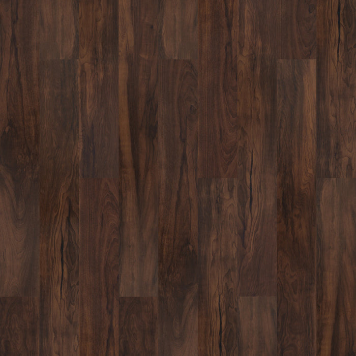 Specials in Magnetx Magnetx - Lakewood MM60640