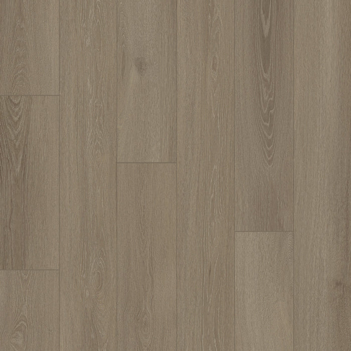 Stone + Wood in Willow SW-601