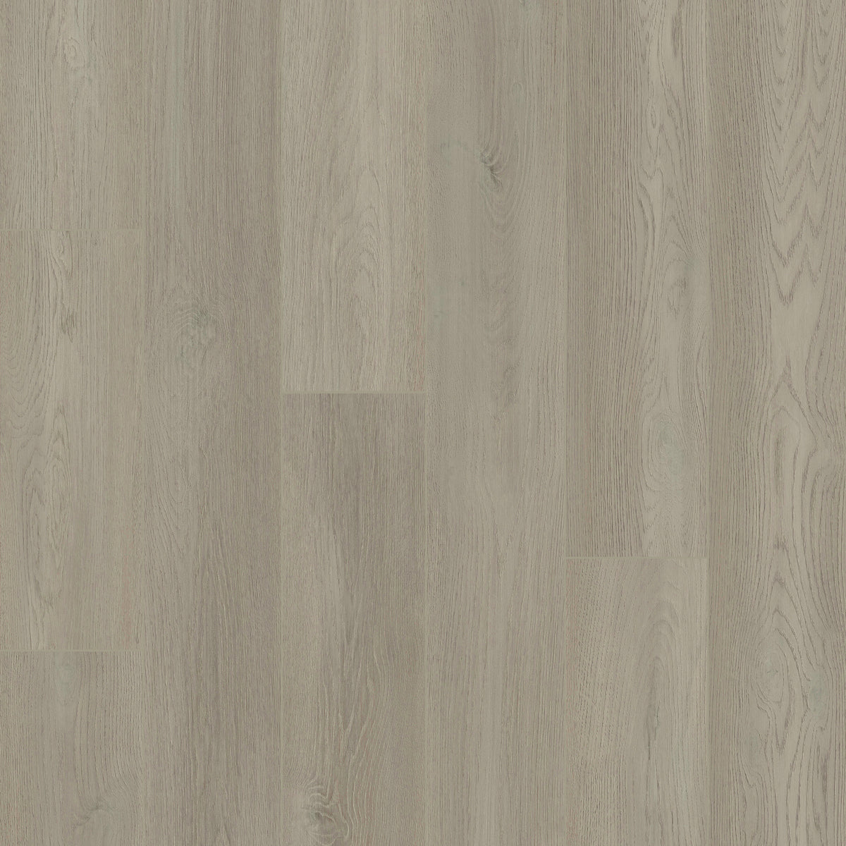 Stone + Wood PVC Free Click Flooring in Slate | Raskin