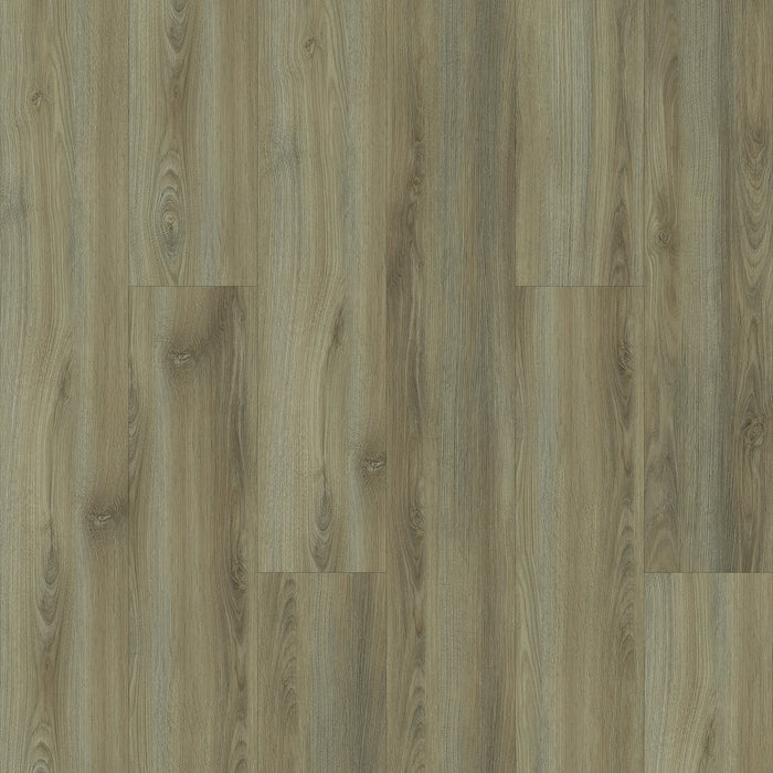 Aspire in Sage Brush U20-08