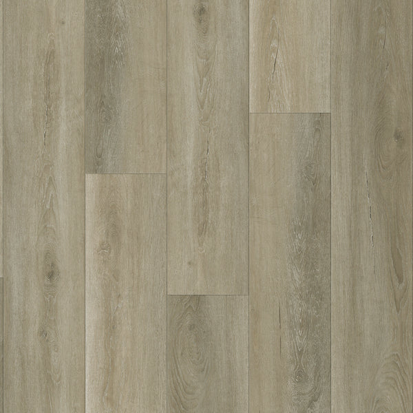 超激レア　PURE LARD SLAB USA_307_MONTEREY_grande.jpg?v=