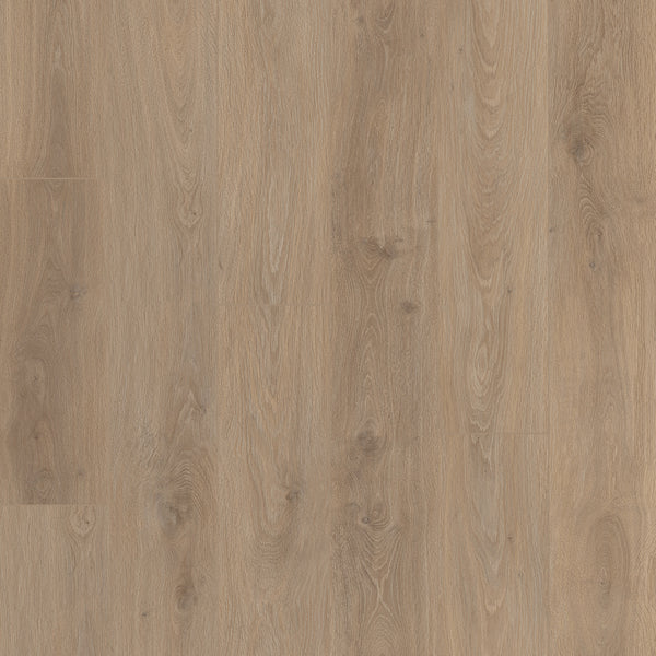 バキラ WTX_01_HAZEL_grande.jpg?v=