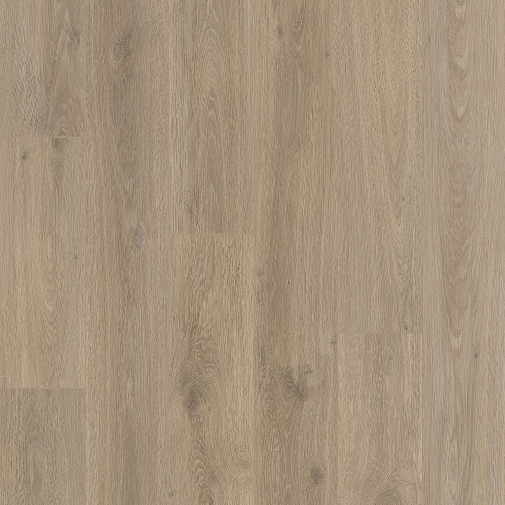 WTX_02_AMBER_1024x1024.jpg?v=