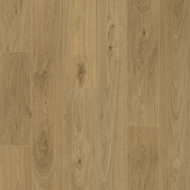 Woodtex in Sylva WTX-05