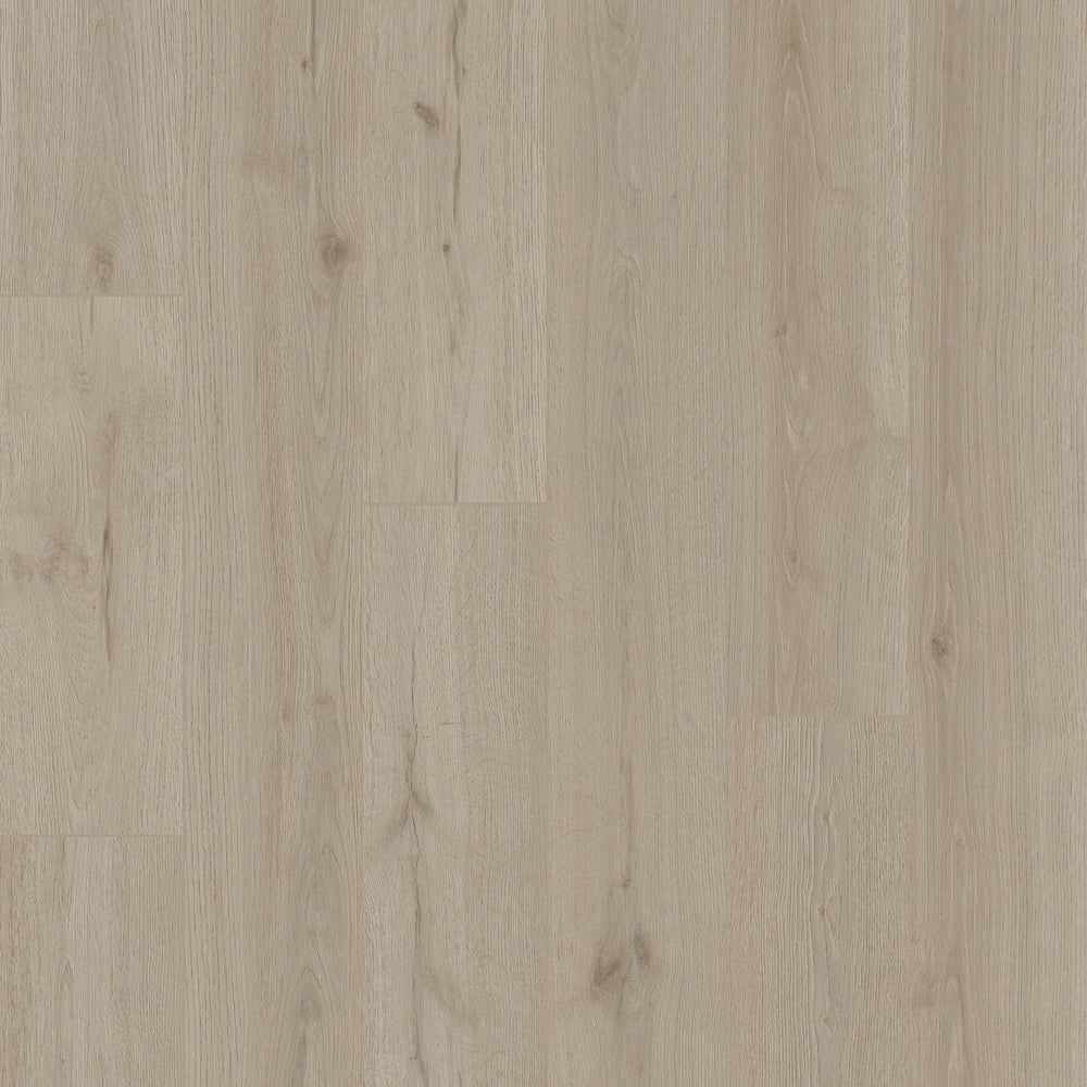 Woodtex in Ash WTX-08
