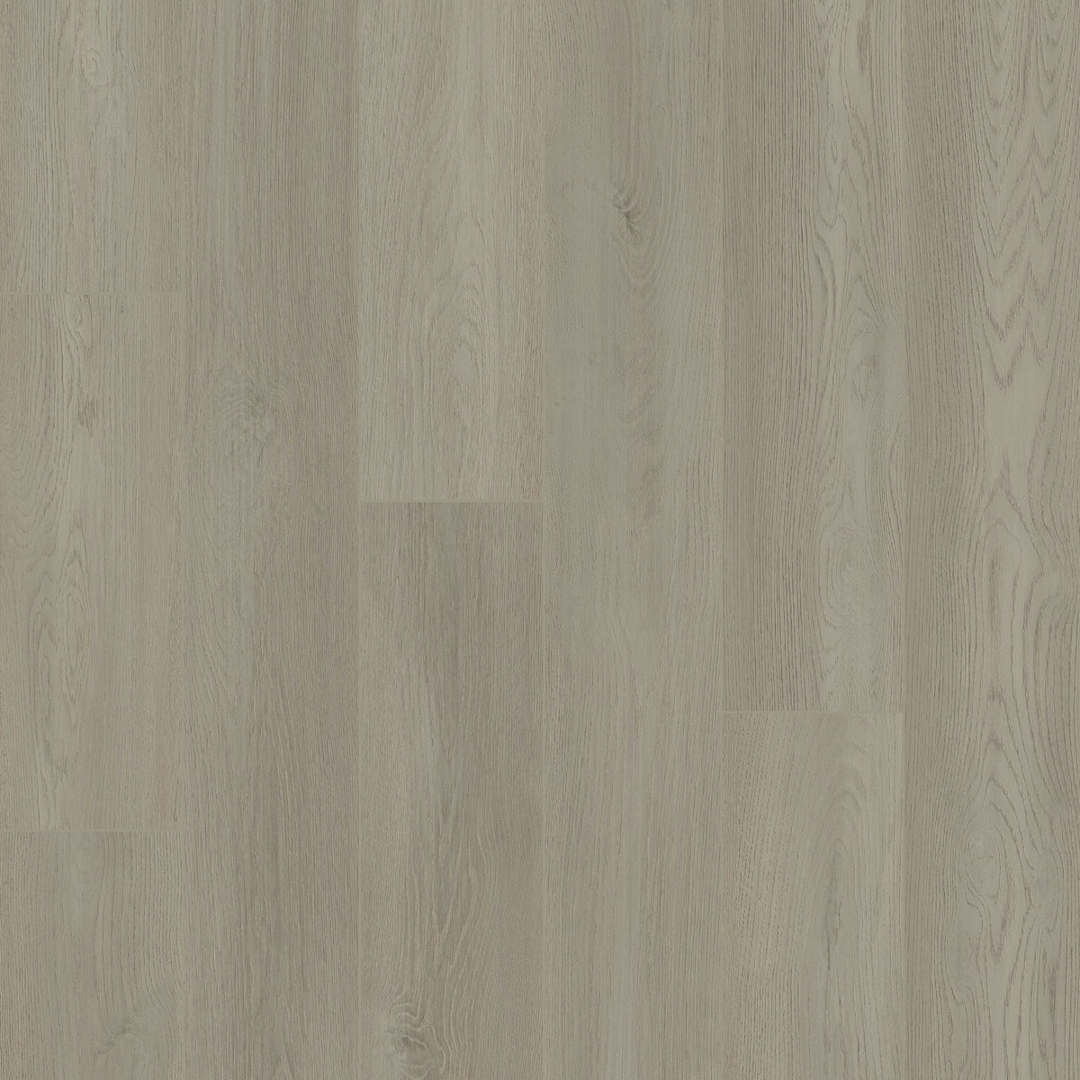ヴィクトライン Woodtex High Performance Laminate Flooring in Ivy | Raskin